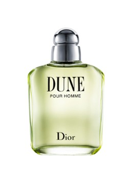 DIOR Dune Eau de Toilette 100 ML Geuren - Deal