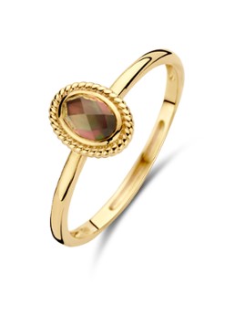 Blush Dames Ring van 14 karaat geelgoud met kristal 1239YBQ in de kleur Geelgoud