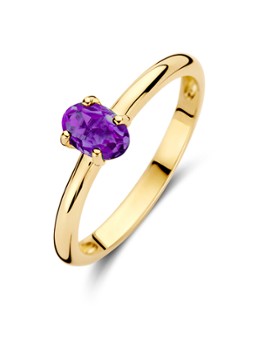 Blush Dames Ring van 14 karaat geelgoud met amethist 1242YAM in de kleur Geelgoud