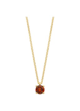 Blush Dames Ketting van 14 karaat geelgoud 3200YGA in de kleur Geelgoud