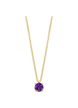 Blush Dames Ketting van 14 karaat geelgoud met amethist 3200YAM in de kleur Geelgoud
