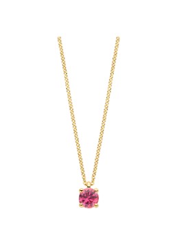 Blush Dames Ketting van 14 karaat geelgoud 3200YPT in de kleur Geelgoud