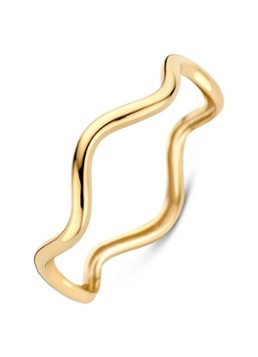 Blush Dames Ring van 14 karaat geelgoud 1261YGO in de kleur Goud