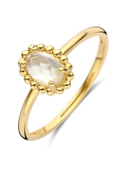 Blush Dames Ring van 14 karaat geelgoud 1272YMQ in de kleur Goud