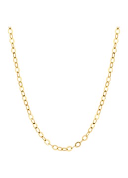 Blush Dames Ketting van 14 karaat geelgoud 3198YGO in de kleur Goud