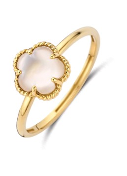 Blush Dames Ring van 14 karaat geelgoud 1280YMQ in de kleur Geelgoud