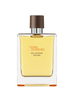 HERMÈS Terre d'Hermès Eau Intense Vétiver Eau de parfum 200 ML Geuren - Deal