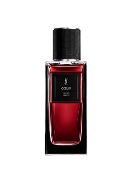 Yves Saint Laurent Yves Saint Laurent Le Vestiaire Des Parfums Coeur Fetish Amber Eau de Parfum - parfum 125ml Geuren - Deal