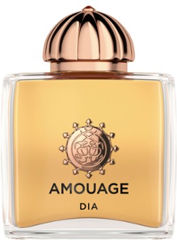 Amouage Dia Eau de Parfum 100ML Geuren - Deal