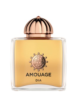 Amouage Dia Eau de Parfum 100ML Geuren - Deal