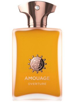 Amouage Overture men Eau De Parfum 100 ML Geuren - Deal
