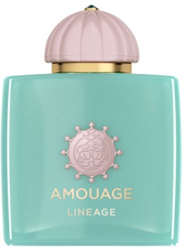 Amouage Lineage Woman Eau de Parfum 100 ml Geuren - Deal