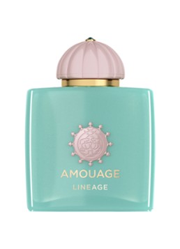 Amouage Lineage Woman Eau de Parfum 100 ml Geuren - Deal