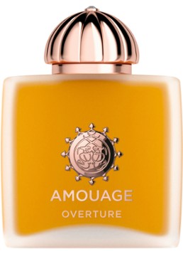 Amouage Overture Woman Eau de Parfum 100ml Geuren - Deal