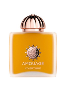 Amouage Overture Woman Eau de Parfum 100ml Geuren - Deal