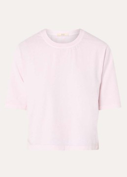 Sessùn Dames Sergio T-shirt met ronde hals in de kleur Lichtroze