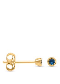 Diamond Point Dames Geelgouden oorsieraden 0.10 ct blauwe saffier Joy in de kleur Geelgoud