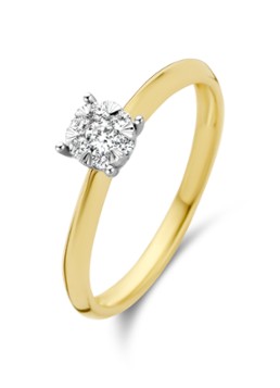 Diamond Point Dames Gouden ring 0.17 ct diamant Enchanted in de kleur Goud