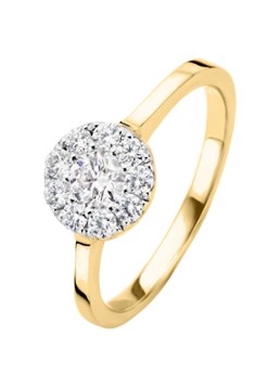 Diamond Point Dames Gouden ring 0.42 ct diamant Hearts & Arrows in de kleur Goud