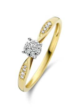 Diamond Point Dames Gouden ring 0.15 ct diamant Enchanted in de kleur Goud