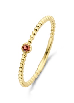 Diamond Point Dames Geelgouden ring 0.05 ct granaat Joy in de kleur Geelgoud