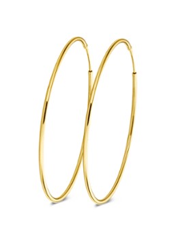 Casa Jewelry Dames DMC M oorringen verguld in de kleur Zilver