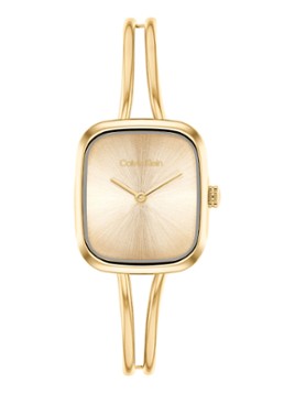 Calvin Klein Dames Horloge CK25100132