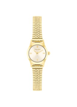 Calvin Klein Dames Horloge CK25100201