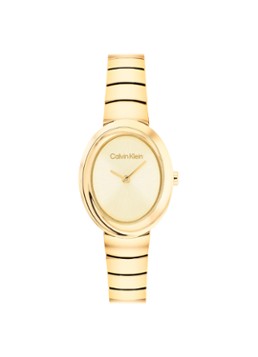 Calvin Klein Dames Horloge CK25100147