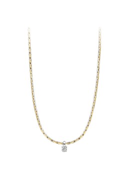 Blush Dames Ketting van 14 karaat geelgoud met zirkonia 3053BZI in de kleur Goud