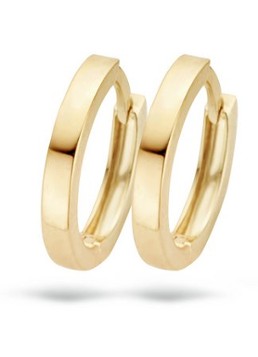 Blush Dames Oorringen van 14 karaat geelgoud 7202YGO in de kleur Goud