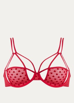 Marlies Dekkers Dames The Art Of Love beugel bh van mesh in de kleur Rood