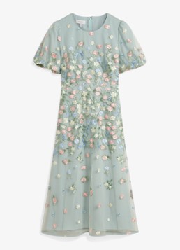 Hobbs Dames Audra midi jurk met bloemborduring en pofmouw in de kleur Lichtgroen
