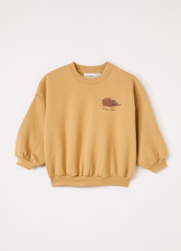 Mini Rodini Jongens Elephant Shrew sweater met borduring in de kleur Donkerbeige, maat: 92/98