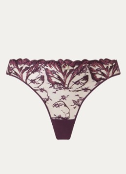Chantelle Dames Tanga van kant in de kleur Aubergine