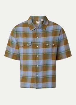 Levi's Heren Regular fit overhemd met ruitdessin in de kleur Mosgroen