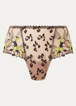 PrimaDonna Dames Manali hipster van kant in de kleur Zwart
