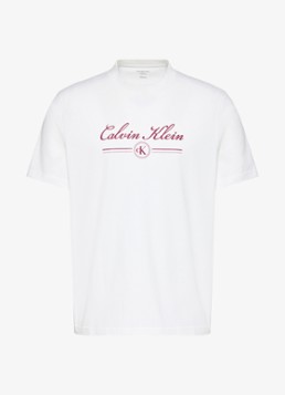 Calvin Klein Heren T-shirt met logoprint in de kleur Bright White-YAF