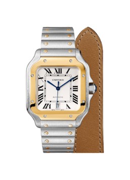 Cartier Heren Santos de Cartier horloge CRW2SA0009 in de kleur Zilver