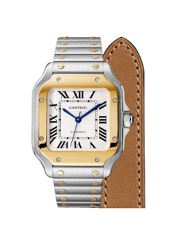 Cartier Heren Santos de Cartier horloge CRW2SA0016 in de kleur Zilver