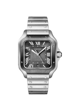 Cartier Heren Santos de Cartier Large horloge met verwisselbaar bandje CRWSSA0037 in de kleur Zwart