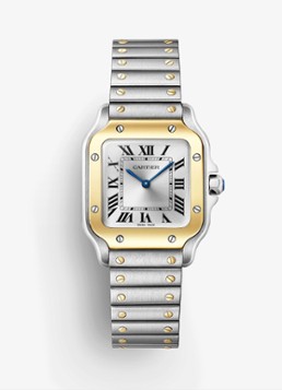 Cartier Dames Santos de Cartier horloge van 18 karaat geelgoud en staal CRW2SA0033 in de kleur Geelgoud