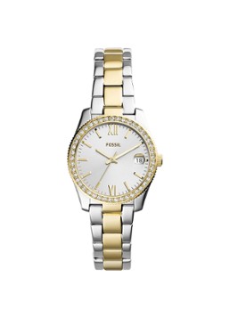 Fossil Dames Scarlette Mini horloge ES4319 in de kleur Zilver