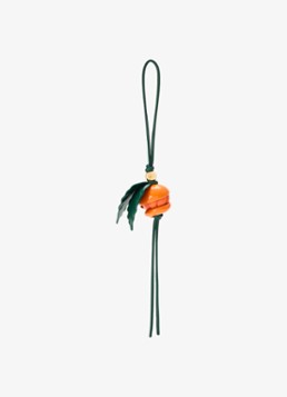 LOEWE Dames Peeling Orange tasbedel van kalfsleer in de kleur Oranje