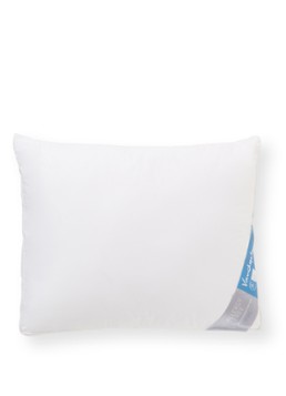 Vandyck Allergy Free stevig hoofdkussen met vulling van polyester 60 x 70 cm Wit - Deal
