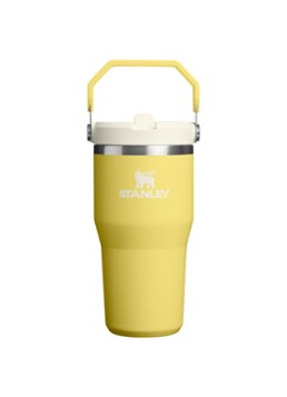 Stanley De IceFlow™ Flip Straw 2.0 waterfles 0,6 liter Geel - Deal