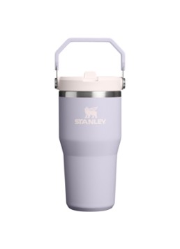 Stanley De IceFlow™ Flip Straw 2.0 waterfles 0,6 liter Paars - Deal