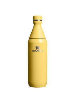 Stanley De All Day Slim waterfles 60 cl Geel - Deal