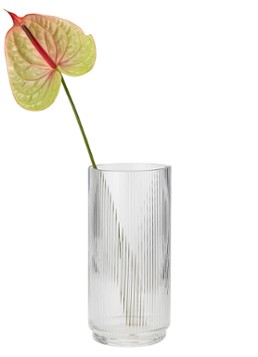 Stelton Pilastro vaas 21 cm Transparant - Deal