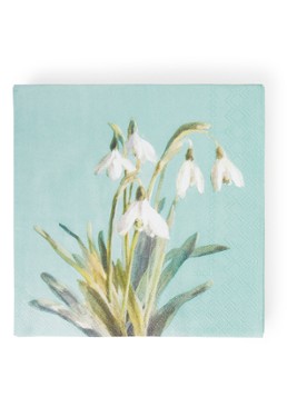Ihr Ideal Home Bunch of Snowdrops servetten 33 x 33 cm Mint - Deal